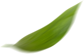 Green energy decoration